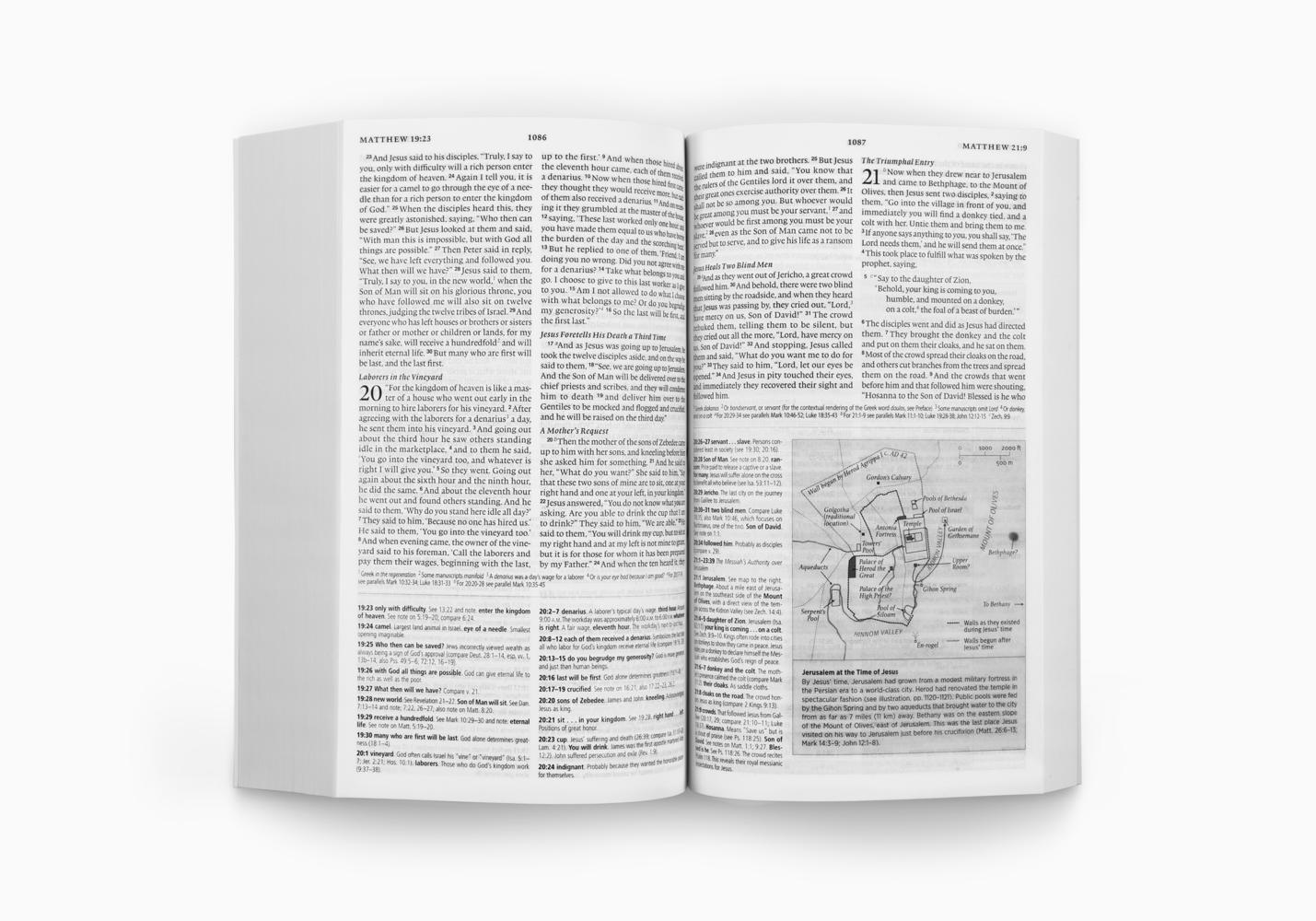 ESV CONCISE STUDY BIBLE, ECONOMY EDITION