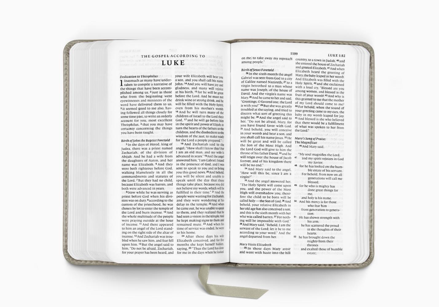 ESV POCKET BIBLE TT, STONE, BRANCH