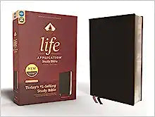 NIV ZON LIFE APP STUDY BI 3RD ED STD SZ RLE BL BLA