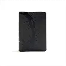 KJV HOL LARGE PRT COMPACT SZ REF BIBLE LT CHARCO