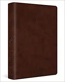 ESV WIDE MARGIN REF TT BROWN PORT