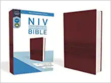 NIV ZON VALUE THINLINE BI STD SZ LS BURG