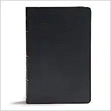 KJV HOL GIANT PRT REF BI LT BLACK