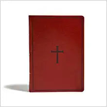 KJV HOL SUPER GIANT PRT REF BI LT BROWN