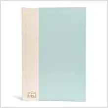 CSB HOL THE STUDY BIBLE FOR WOMEN HC TURQ/SAND
