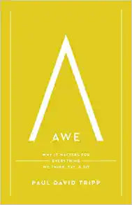 AWE:WHY IT MATTERS FOR EVERYTHING