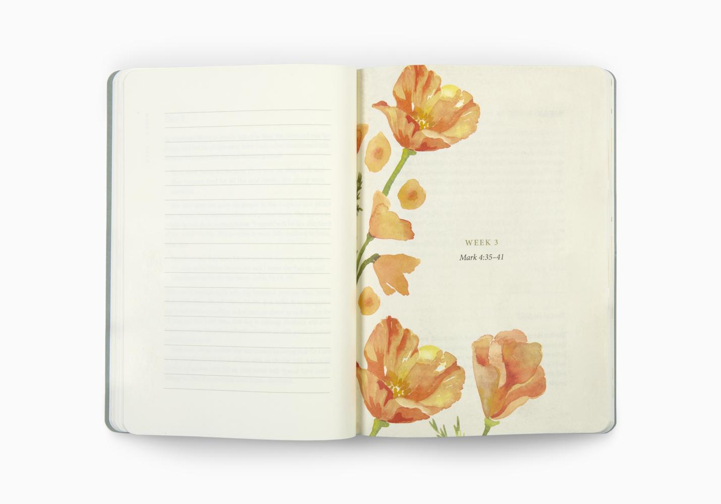 ESV PRAYER JOURNAL: 30 DAYS ON PEACE PB
