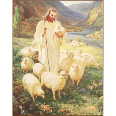 DIC PLK1114-438 THE GOOD SHEPHERD