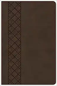 KJV HOL ULTRATHIN REF BI VALUE ED LT BRWN