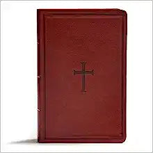 KJV HOL GIANT PRT REF BI BROWN