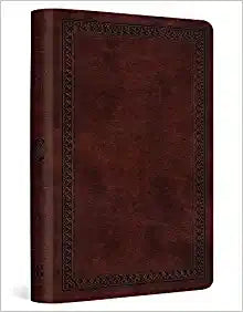 ESV VALUE COMPACT BI TT MAHOGANY