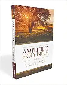 AMPLIFIED HOLY BIBLE STANDARD SIZE PAPERBACK