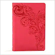 KJV HOL LARGE PRT PERSONAL SZ REF BIBLE LT PINK