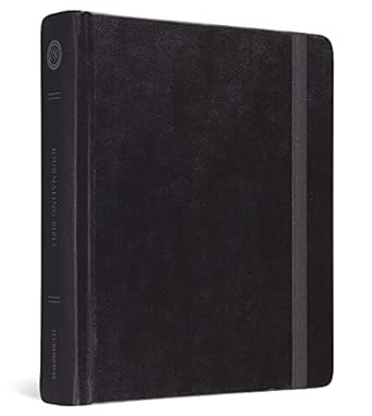 ESV JOURNALING BIBLE