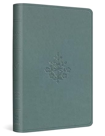 ESV VALUE COMPACT TT PARIS SKY
