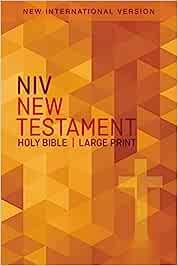 NIV ZON HOLY BIBLE OUTREACH NEW TESTAMENT PB LARGE PRINT PB
