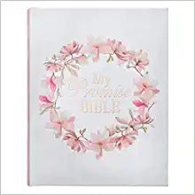 CAG KJV084 MY PROMISE BIBLE HARDCOVER PINK