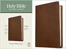 NLT TYN THINLINE REF BIBLE LL BROWN