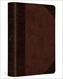 ESV LARGE PRT COMPACT TT WALNUT PORTFOLIO