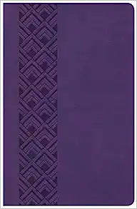 KJV HOL ULTRATHIN REF BI VALUE ED LT PURPLE