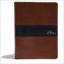 KJV HOL SPURGEON STUDY BI STANDARD SZ LT BLACK-BRO