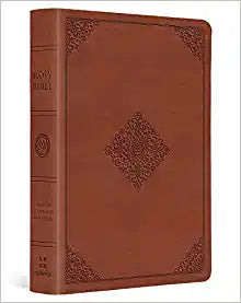 ESV LARGE PRINT COMPACT BI TT TERRACOTTA ORNAM