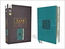NASB ZON THINLINE BI LS TEAL 2020 TEXT
