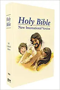 KIDS BI ZON NIV HOLY BIBLE CHILDRENS EDITION HC