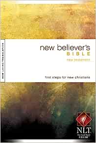 NLTSE NEW BELIEVER NT SC