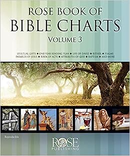 ROSE 262X 948X BOOK OF BIBLE CHARTS VOL 3