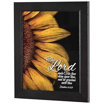 DIC 62CB-1215-839 FRAMED WALL ART GOLDEN RAIN 12X15