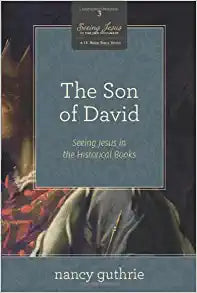 SEEING JESUS IN OT BOOK 3 THE SON OF DAVID BI STUDY