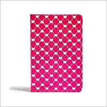 CSB HOL STUDY BIBLE FOR KIDS LT SHINY HEARTS