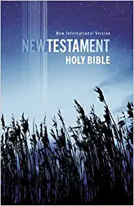 NIV ZON HOLY BIBLE OUTREACH NEW TESTAMENT PB