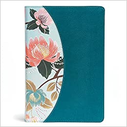 CSB HOL THE STUDY BIBLE FOR WOMEN LT IDX TEAL FLOW