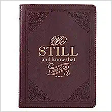 CAG JL486 JOURNAL SM LUXL HANDY BROWN BE STLL & KN