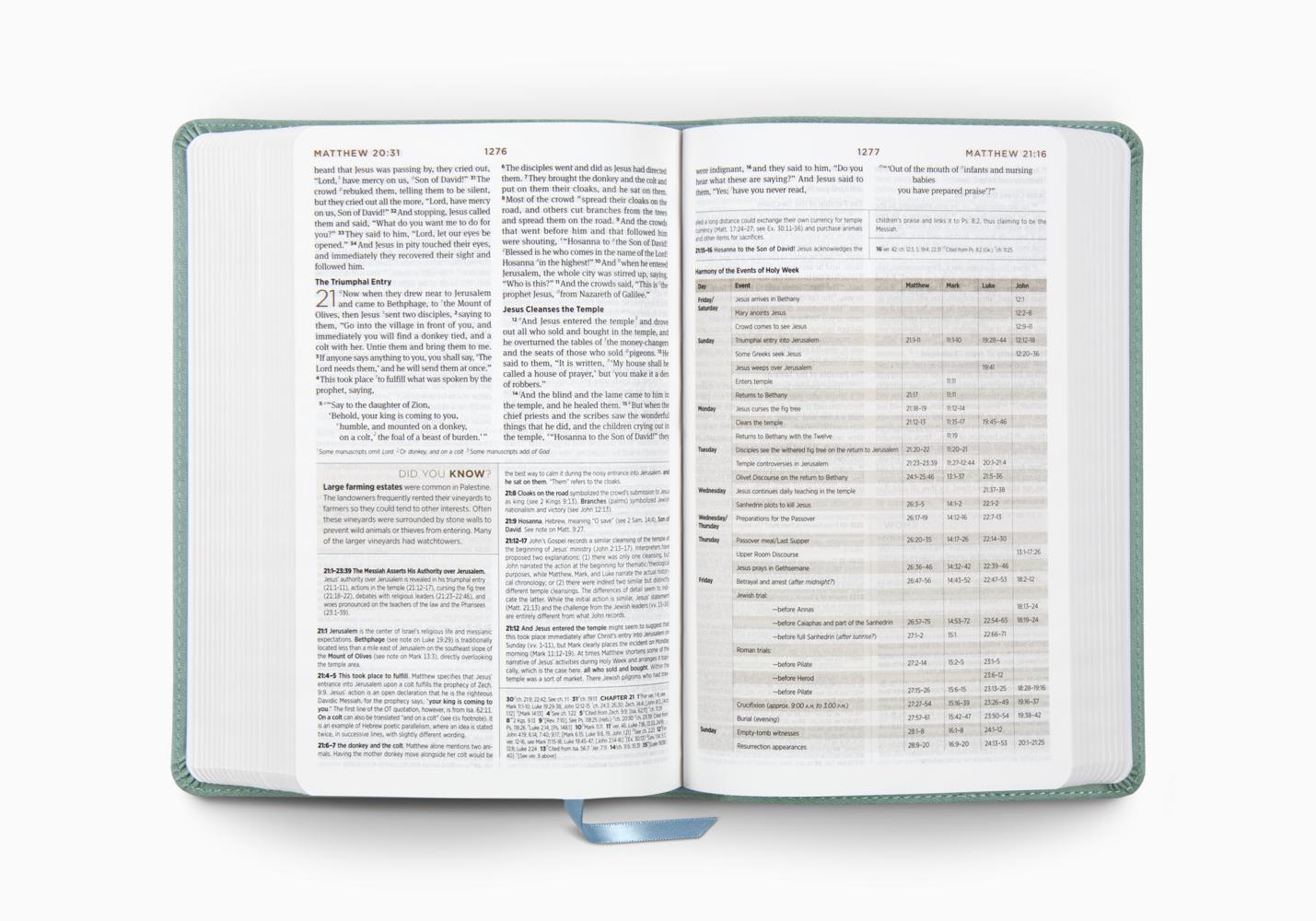 ESV STUDENT STUDY BIBLE (TT, PARIS SKY)