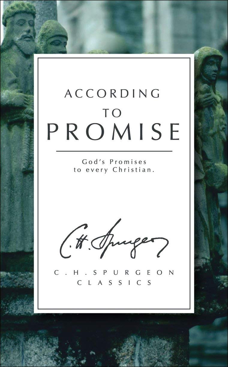 CHS CLASSIC ACCORDING TO PROMISE GODS PROMISES TO EVERY CH