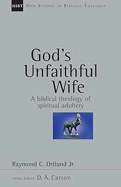NSBT GOD'S UNFAITHFUL WIFE