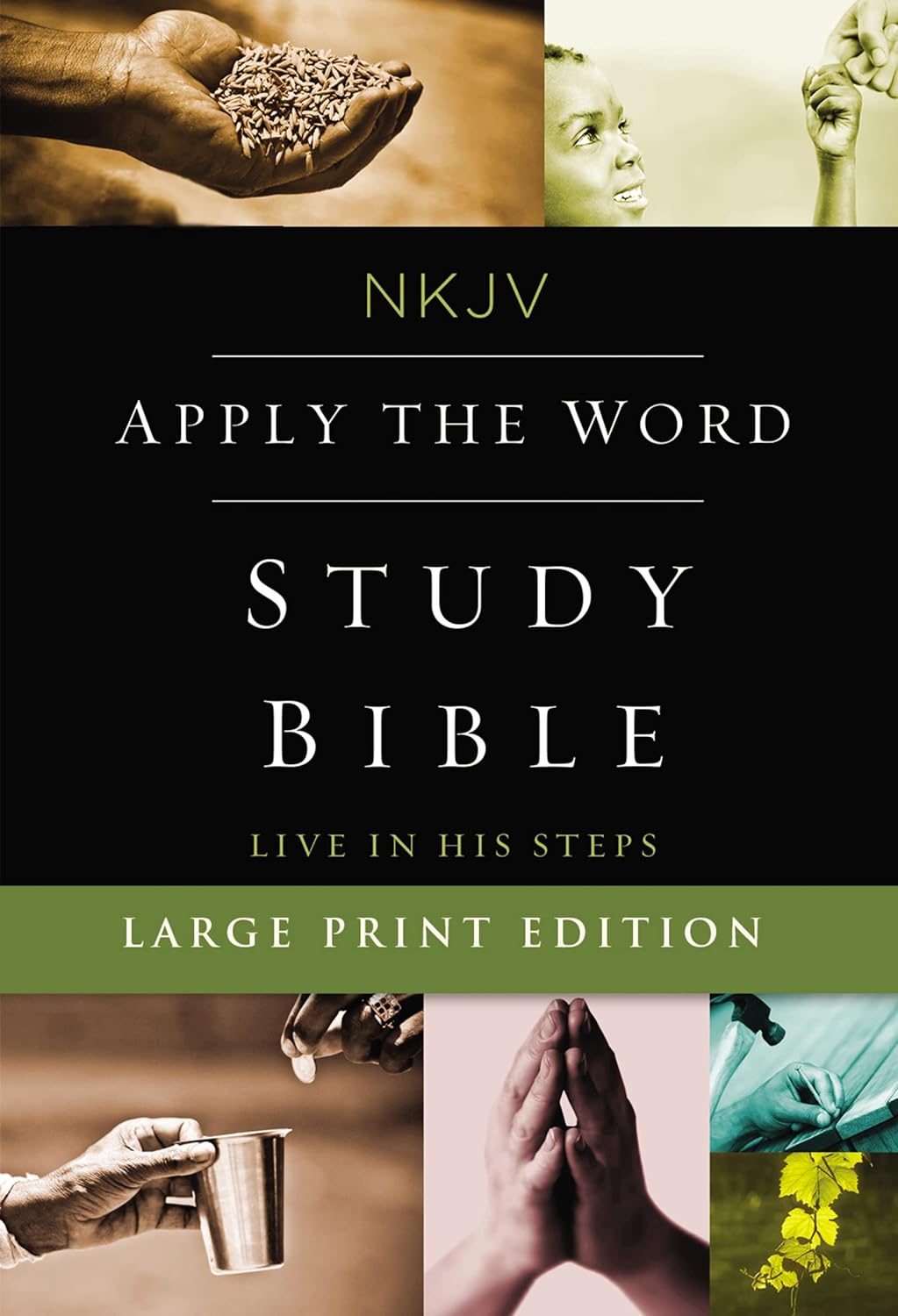NKJV TN APPLY THE WORD STUDY BIBLE LP HC