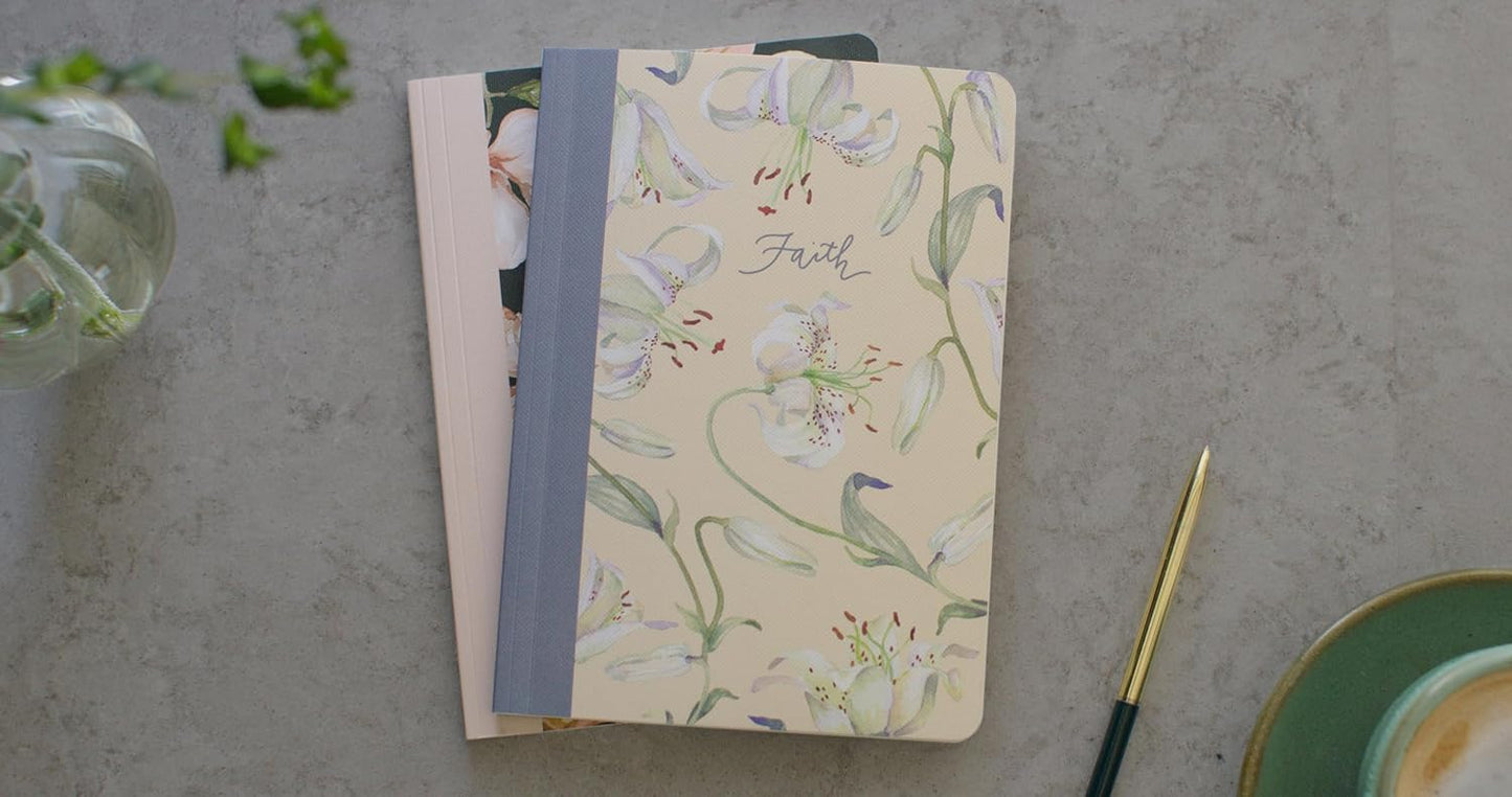 ESV PRAYER JOURNAL: 30 DAYS ON FAITH