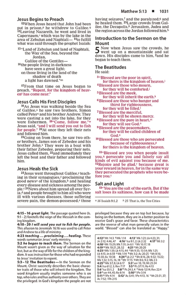 ZON NIV BASIC STUDY BIBLE SOFT COVER
