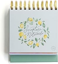 CSB SCRIPTURE NOTECARDS HOSANNA REVIVAL EDITION LE