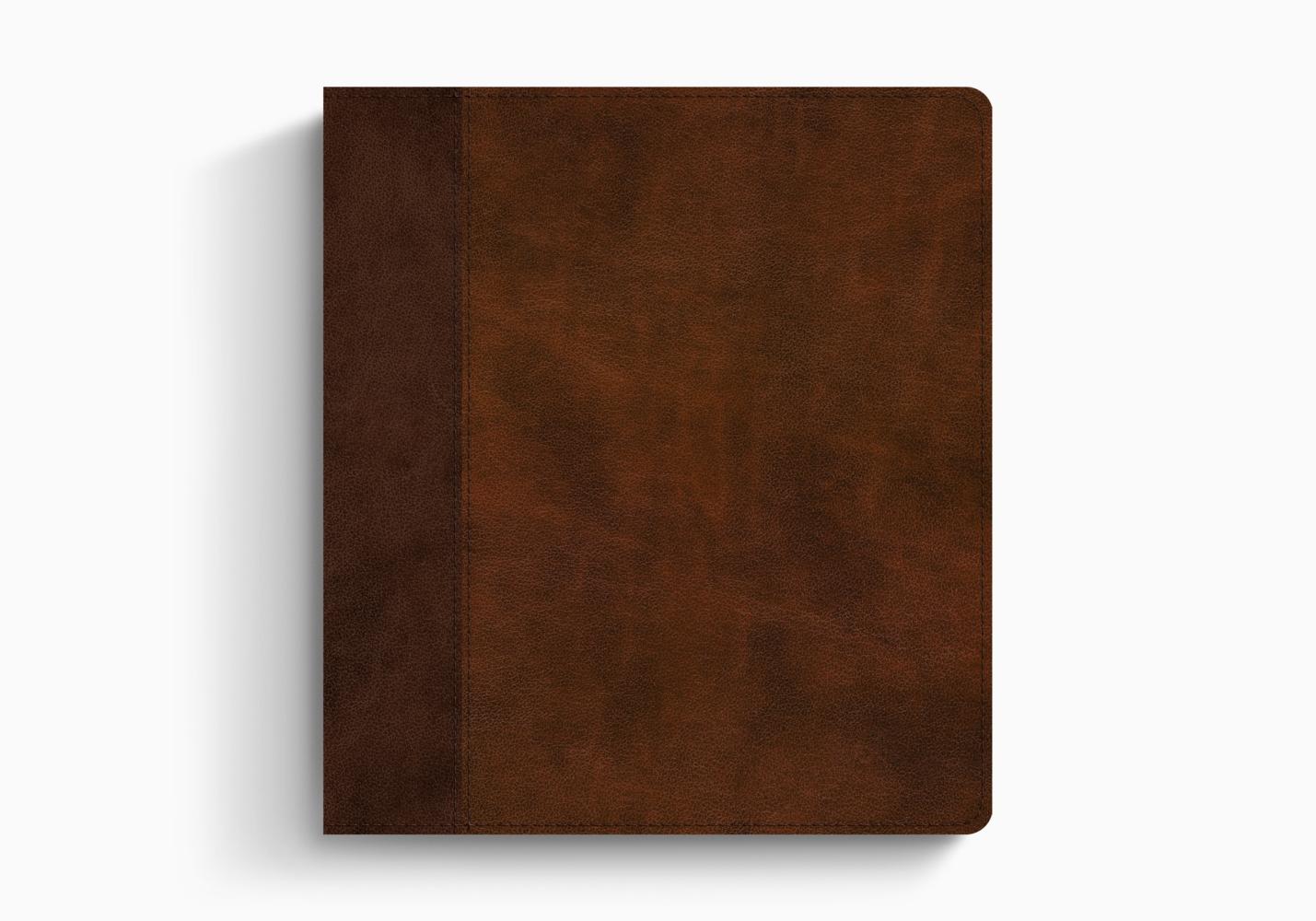 ESV JOURNALING STUDY BIBLE TT,CHESTNUT