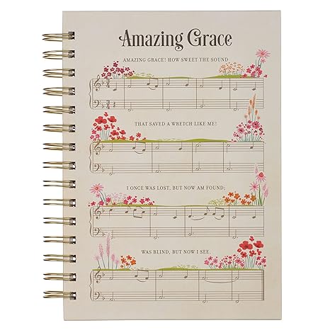CAG JLW105 JOURNAL AMAZING GRAZE