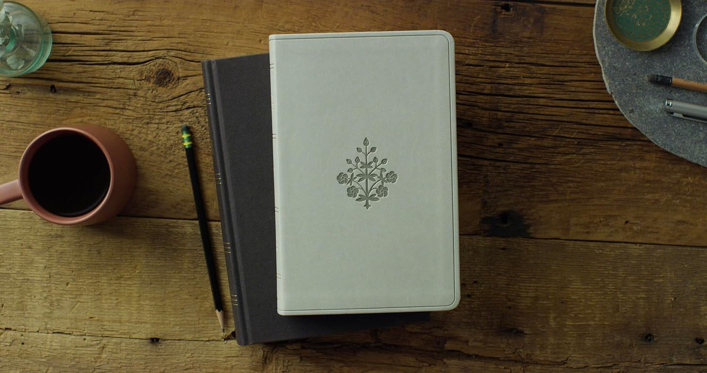 ESV LARGE PRINT VALUE THINLINE BIBLE