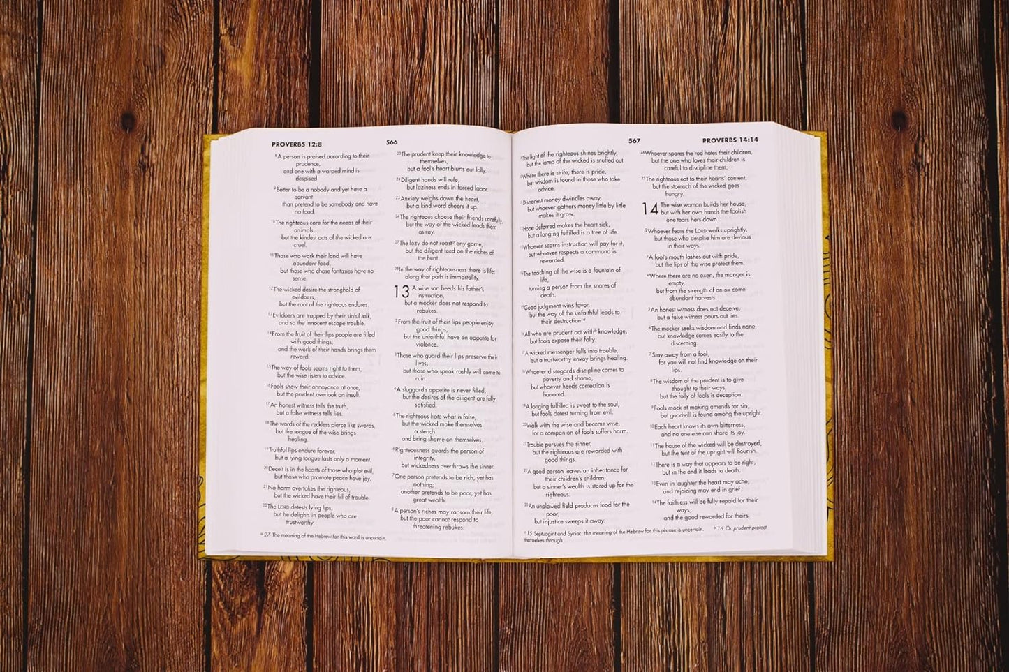 ZON NIV TEXTBOOK BIBLE FOR STUDENTS HC