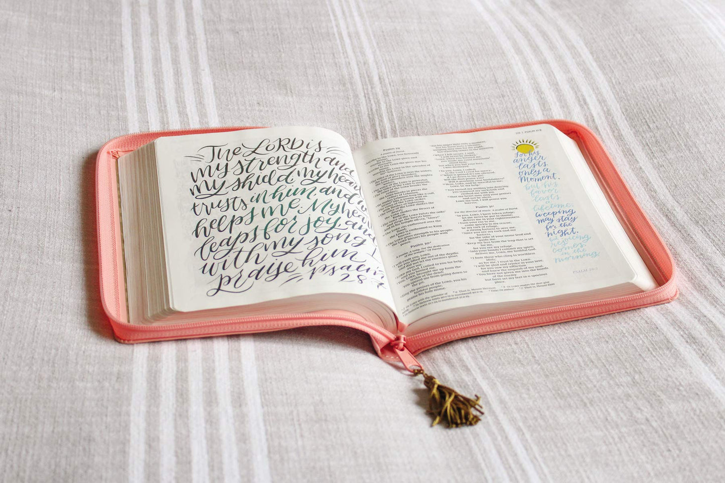 NIV KIDS BI ZON BEAUTIFUL WORD BIBLE F GIRLS FULL-COLOR