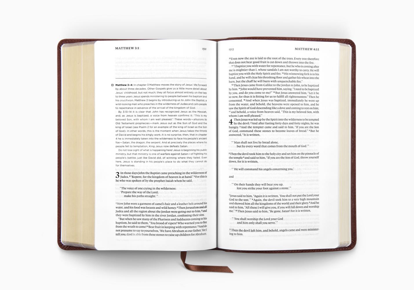 ESV DAILY READING BIBLE (TRUTONE, BROWN)
