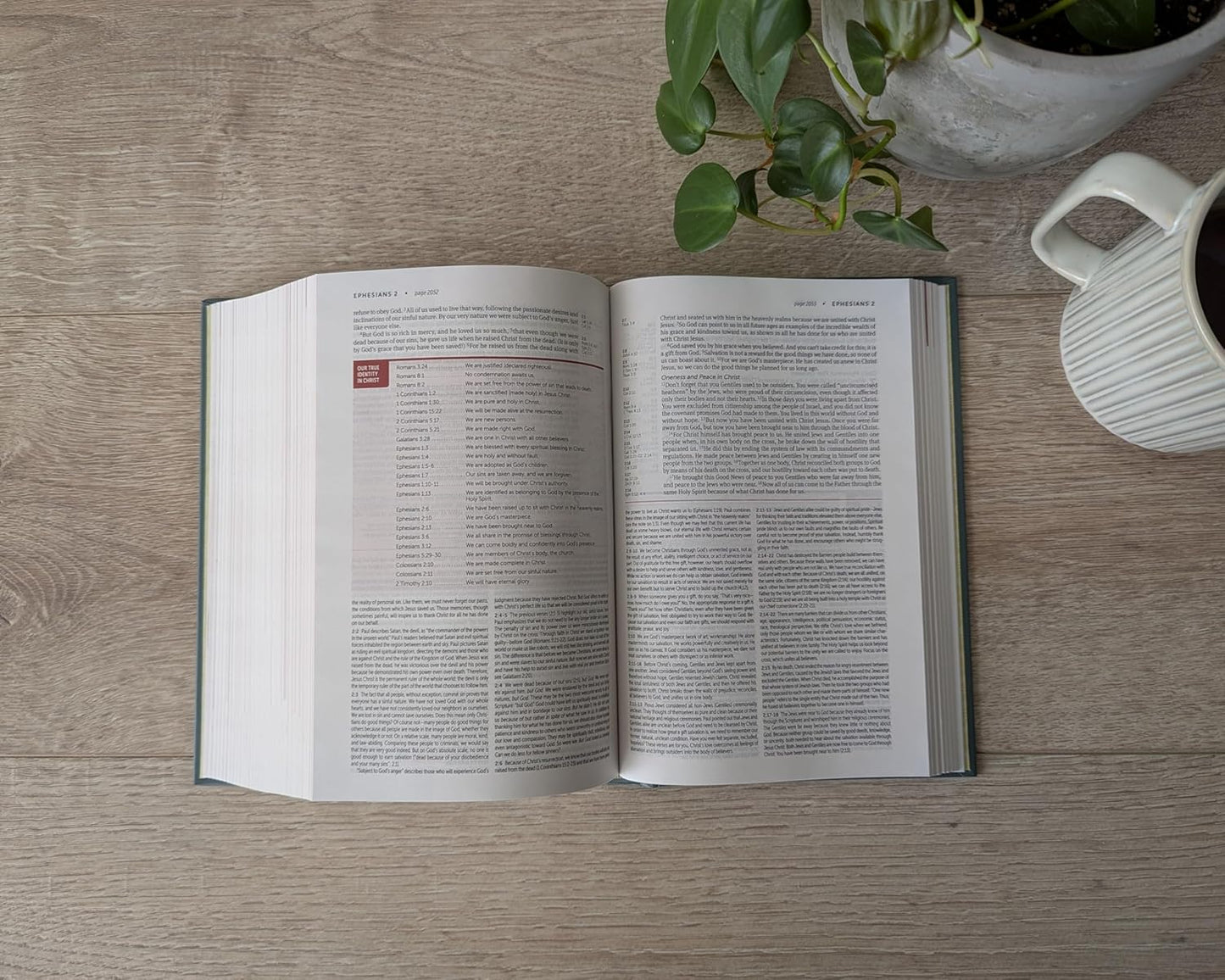 NLT LIFE APPLICATION BIBLE PERSONAL SIZE HC